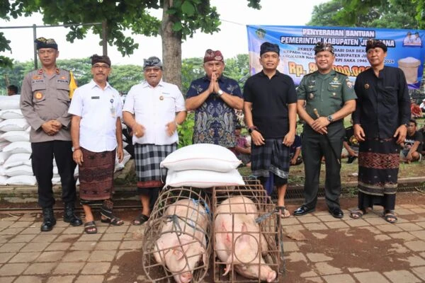 Jelang Nyepi, Bupati Tamba Bagikan 128 Babi dan Beras ke Seluruh Desa Adat se Jembrana